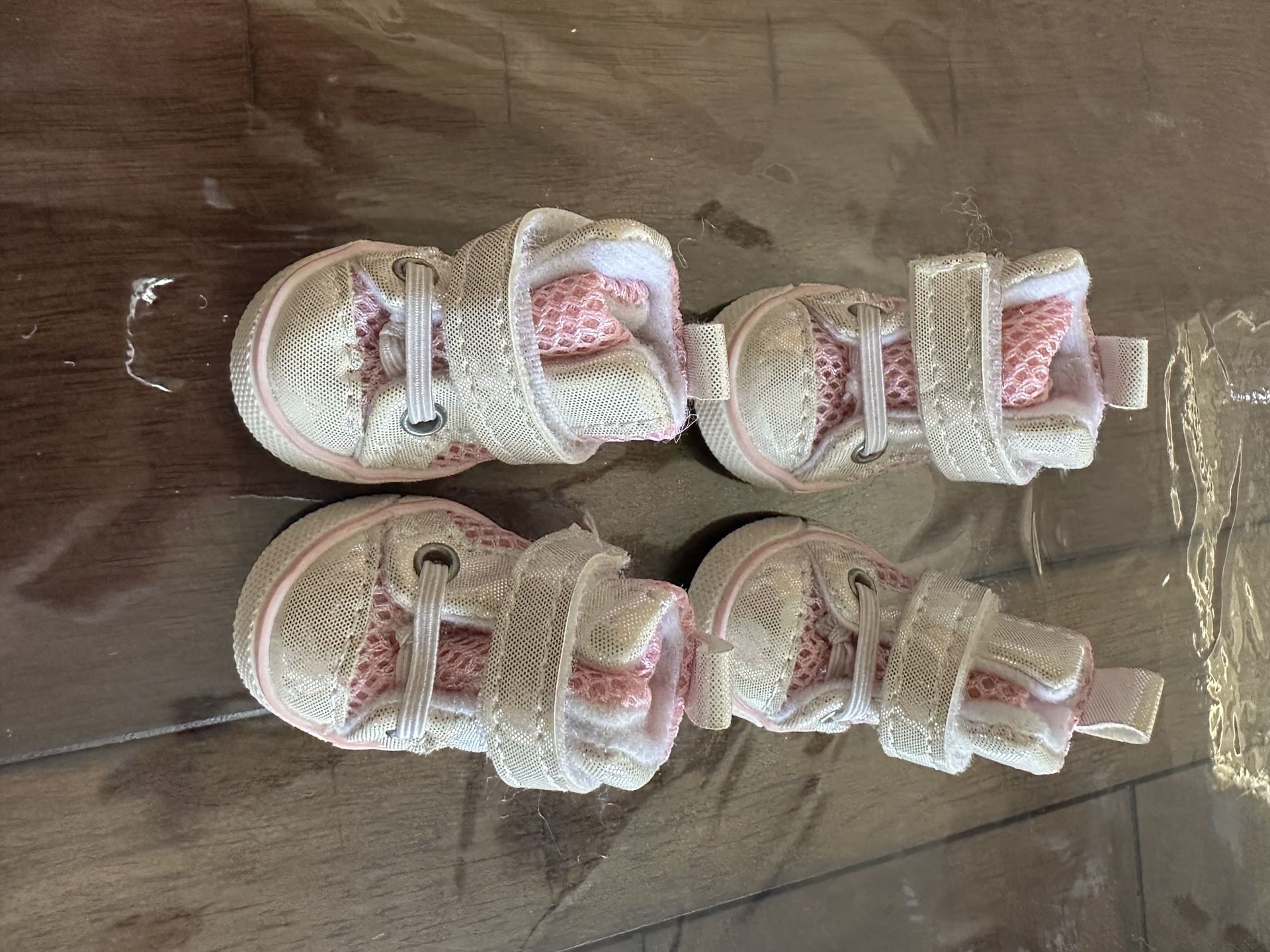 Pet Dresses And Shoes 