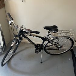Schwinn World GS electric bicycle, 2007-2009