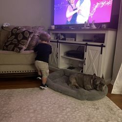 Entertainment Center