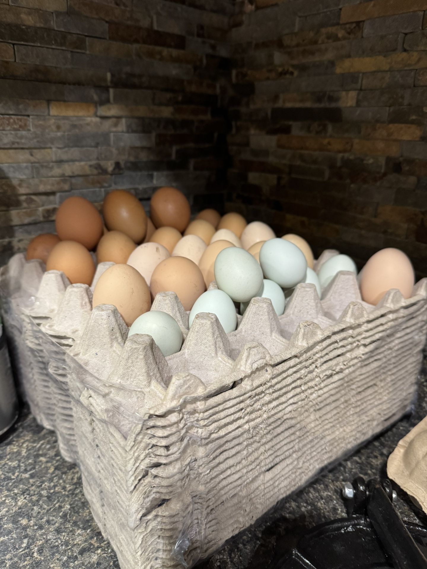 Fresh Eggs Available