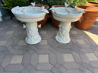 Birdbath Clay