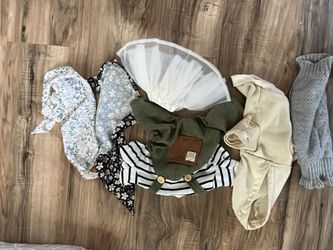 XS and Small Chihuahua Stuff 