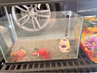 Fish tank