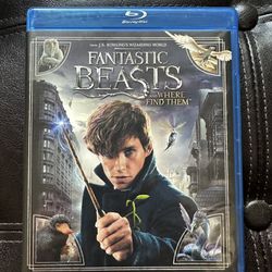 Fantastic Beasts and Where to Find Them (Blu-Ray + DVD)