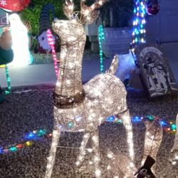 5ft Outdoor Xmas Buck With White Lights