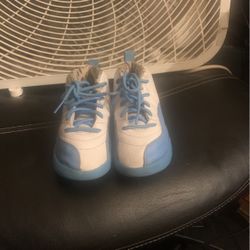 Jordan Air Retro 12