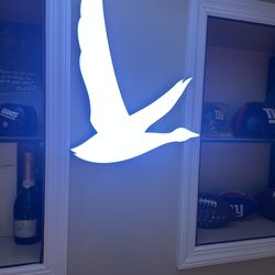 Goose LED light