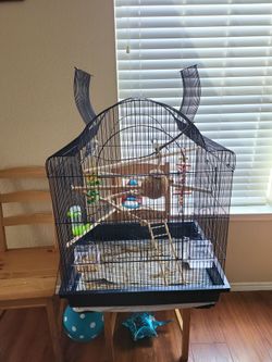 2 birds and cage with accessories
