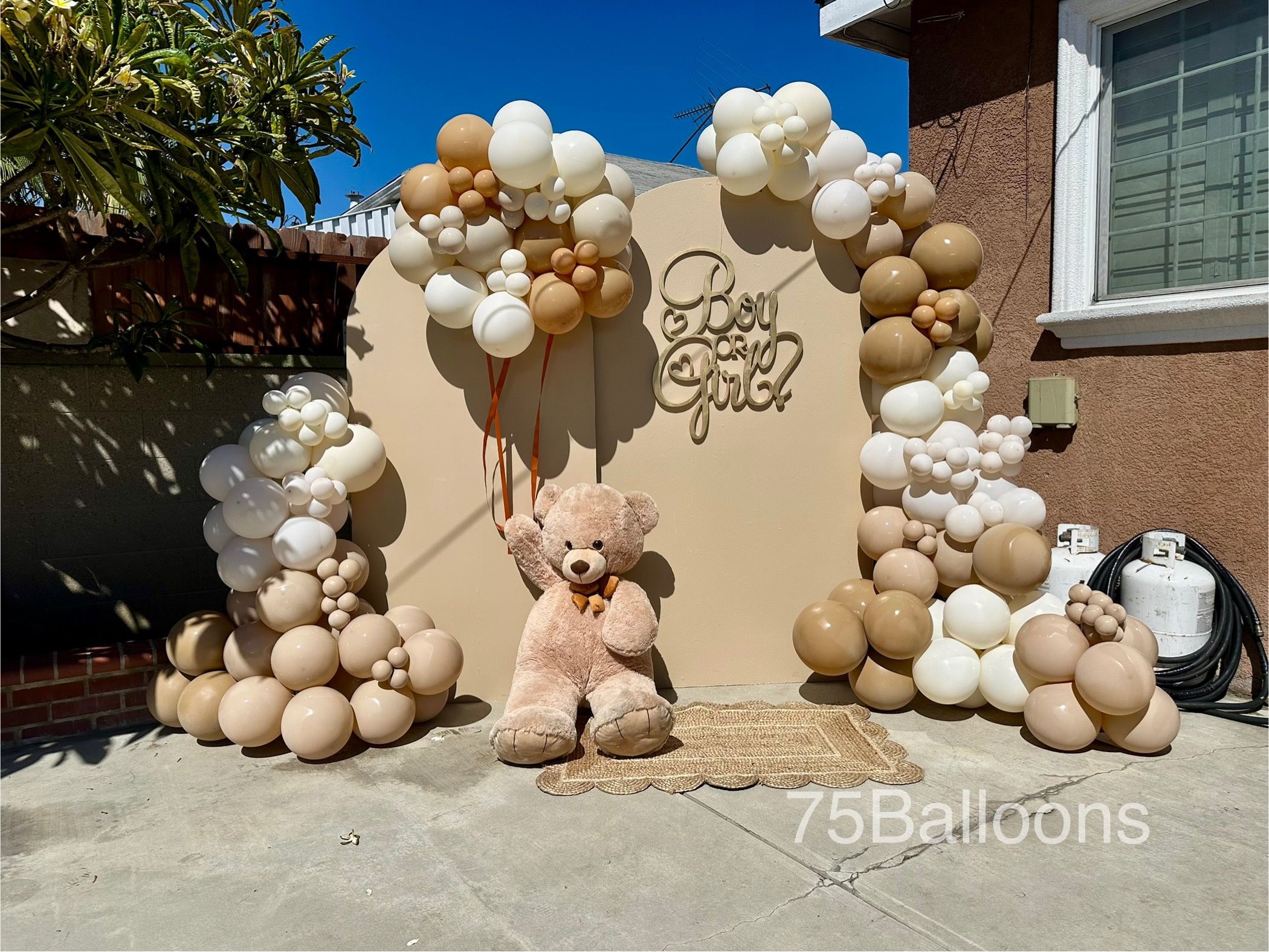 Balloon Garland