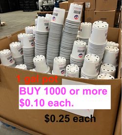 1 gal pot $0.10 to $0.25 each