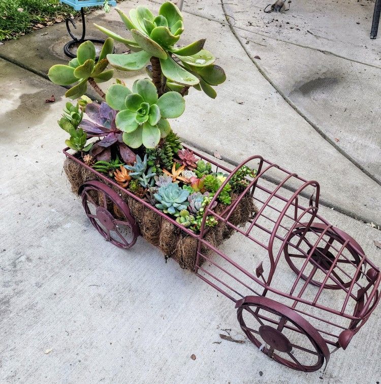 Succulent Arrangement In Metal Tractor Planter