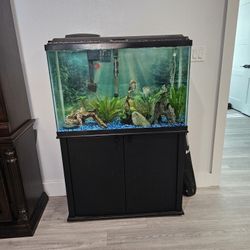 45 Gallon Tall Aquarium And Stand