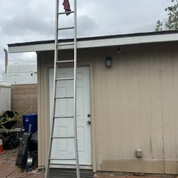 12 Foot Ladder 