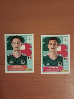 Panini FIFA World Cup Stickers