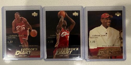 LeBron James Upper Deck LeBron's Diary Card Lot