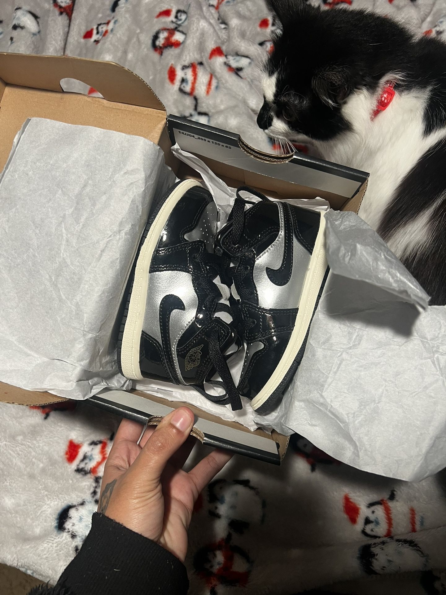 Jordan 1
