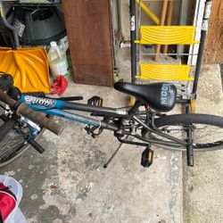 Teen Bike