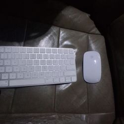 Apple Magic Keyboard And Mouse 
