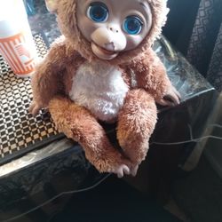 Musical Monkey 