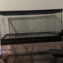 40 Gallon Enclosure