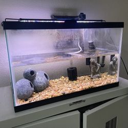 10 Gallon Fish Tank W/ All Accessories (Read Description)