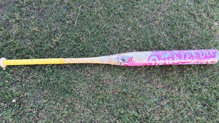 ANARCHY DOUBLE DIP STRAWBERRY USSSA SLOWPITCH SOFTBALL (NIW)