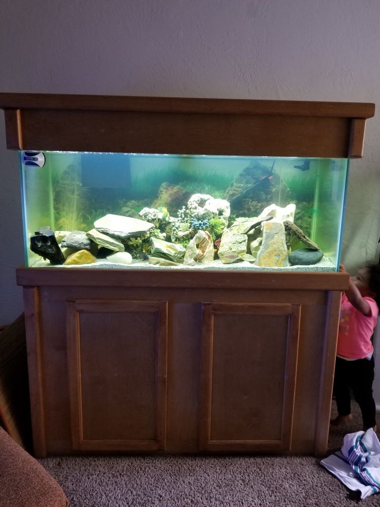 75 GALLON FISH TANK