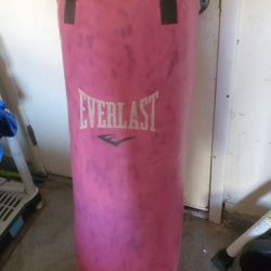 Punching Bag 
