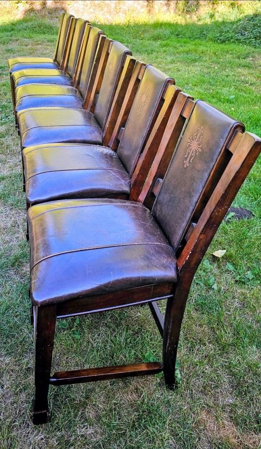 Dining Chairs - Set of 6