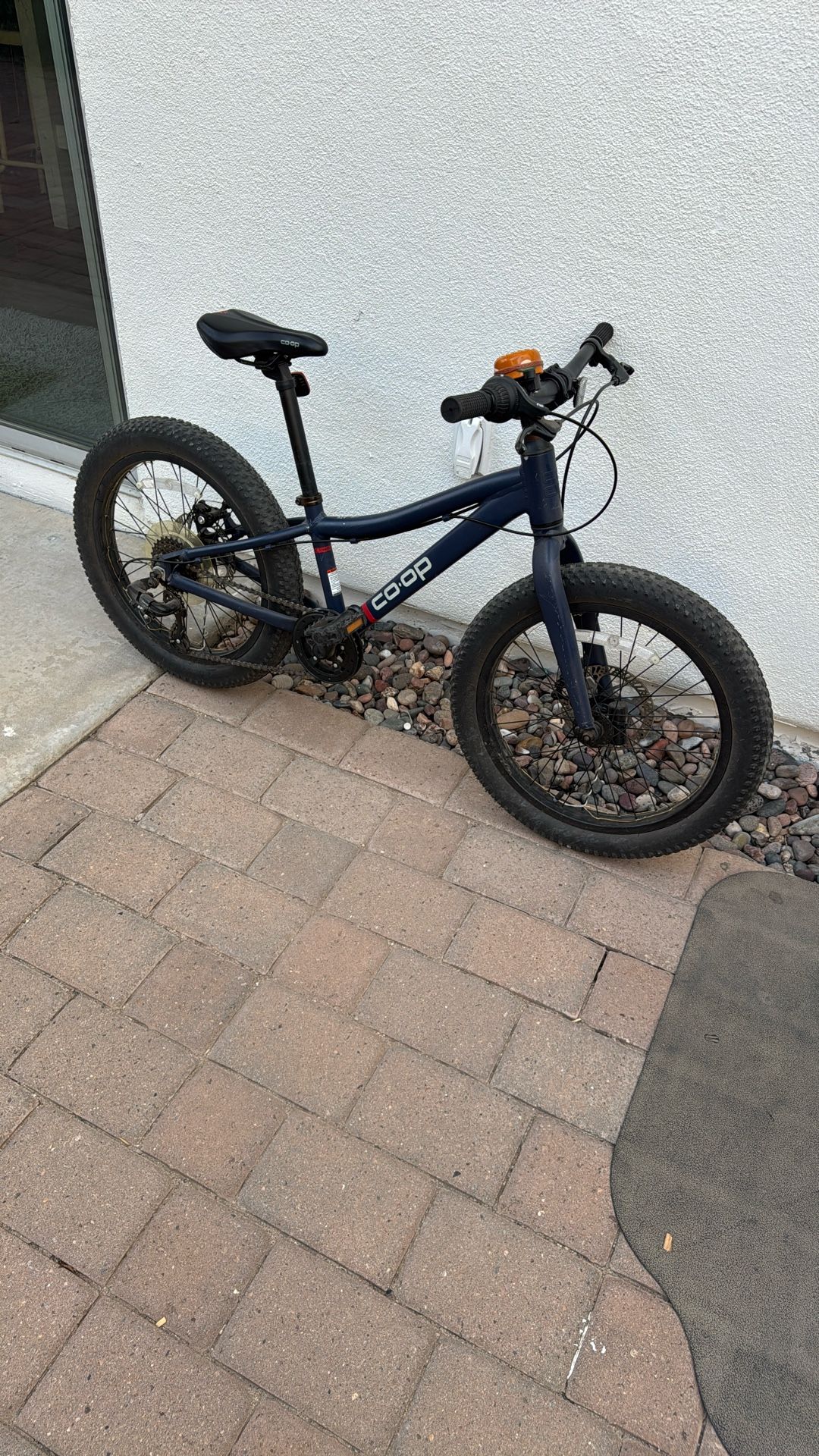 Kid’s 20” REI Bike With Light Up Wheels