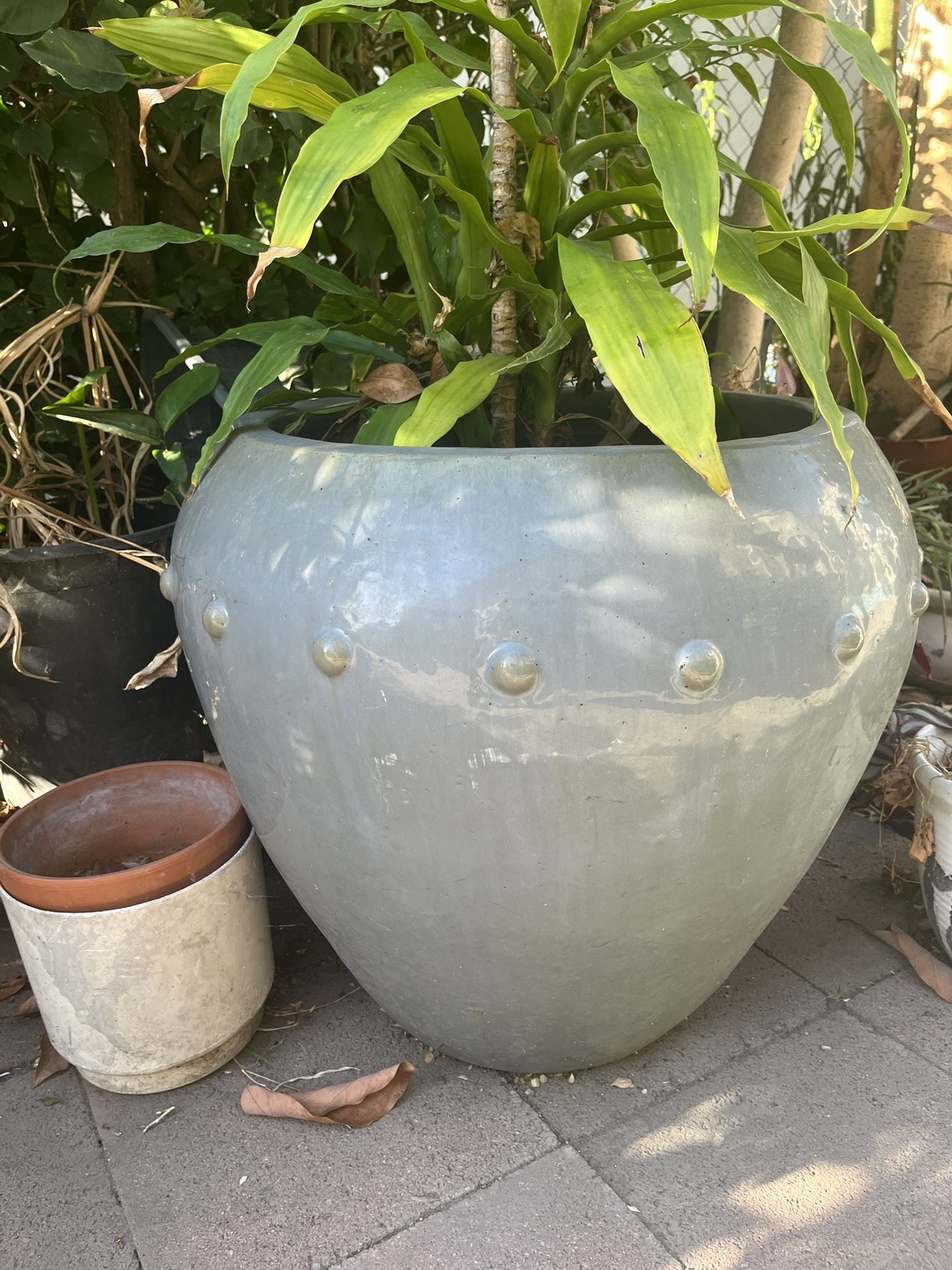 Ceramic Pot