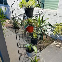 Corner stand folding  53 inches tall  19 inches long 1 ft  wide