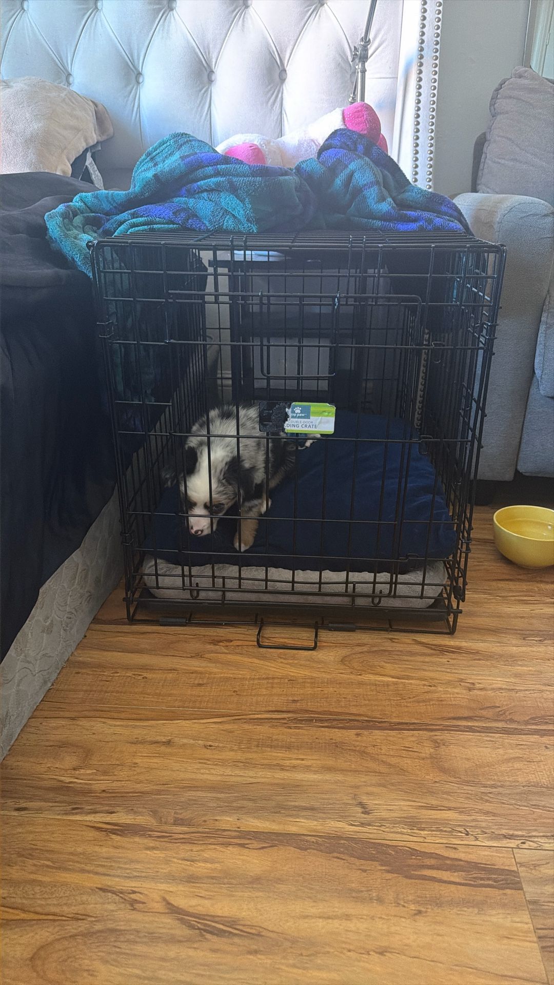 Dog Crate - Medium -