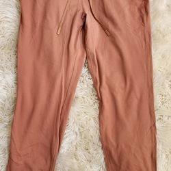 LULULEMON Ready to Rulu Jogger in Desert Sun Size 8 casual comfort 