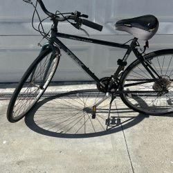 Multi Track Trek Bike