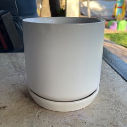 Plant Pot 5”