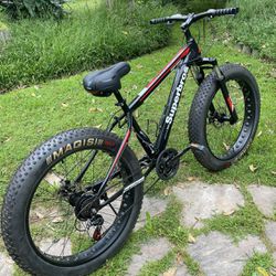 Fat Bike Super Brothers Never Used