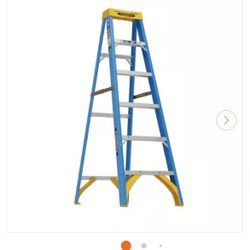 6ft Ladder 