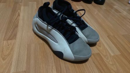 Harden shoes