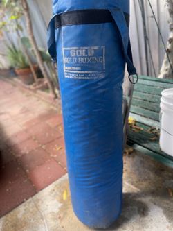 Blue punching bag