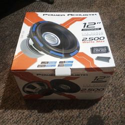  12 Inch Gothic Subwoofer Used 