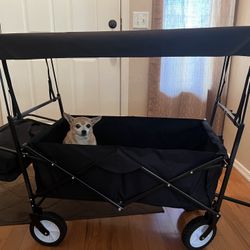 Wagon With Removable Canopy