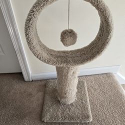 Cat Hoop