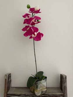 Decor $7