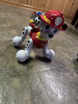 Paw Patrol