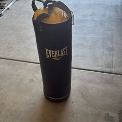 Everlast Punching Bag