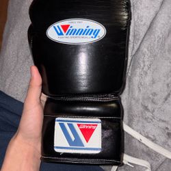 Winning Boxing Gloves 
