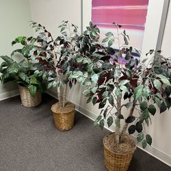 3 Fake Plants