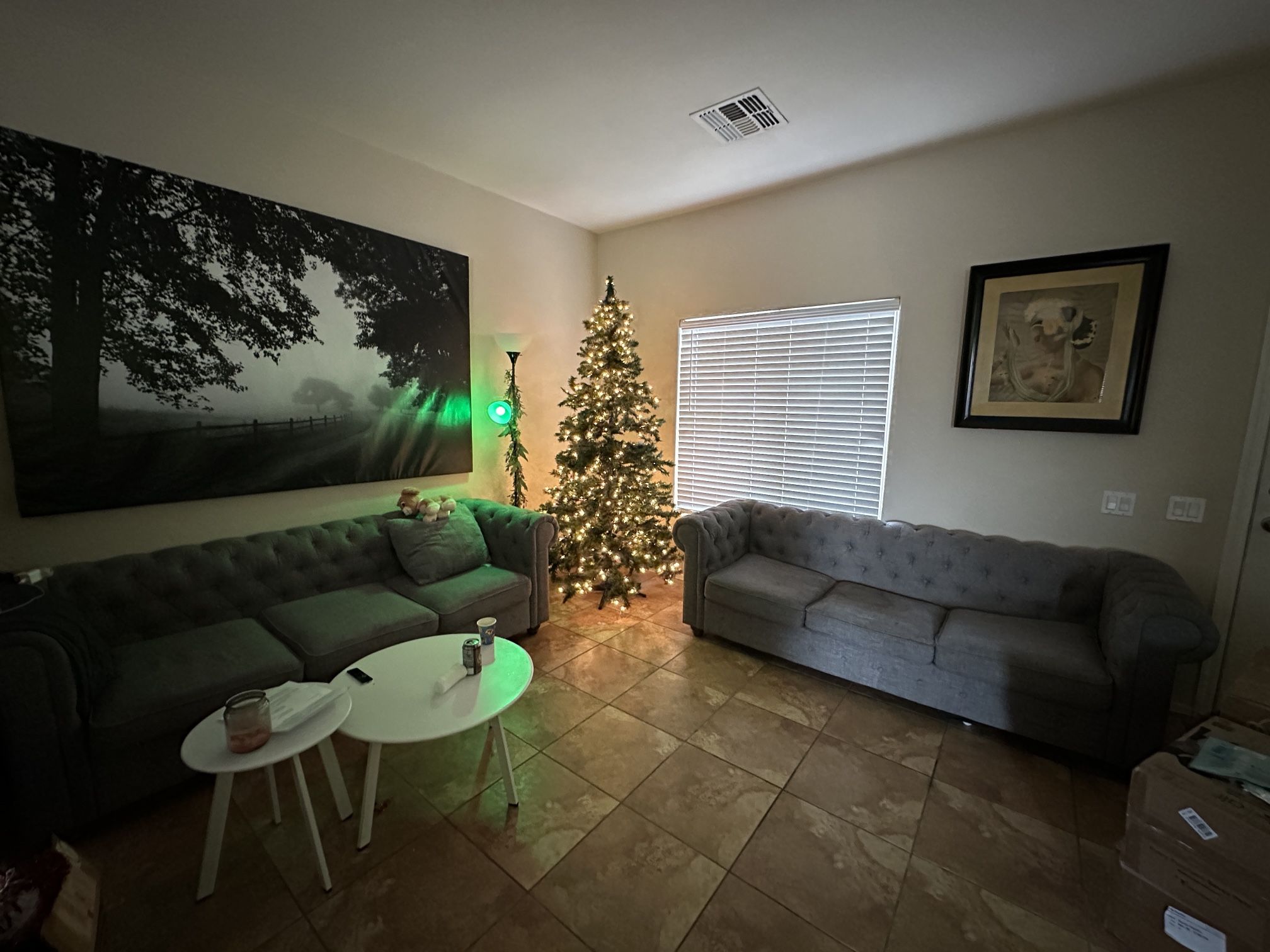 Grey Couch Set