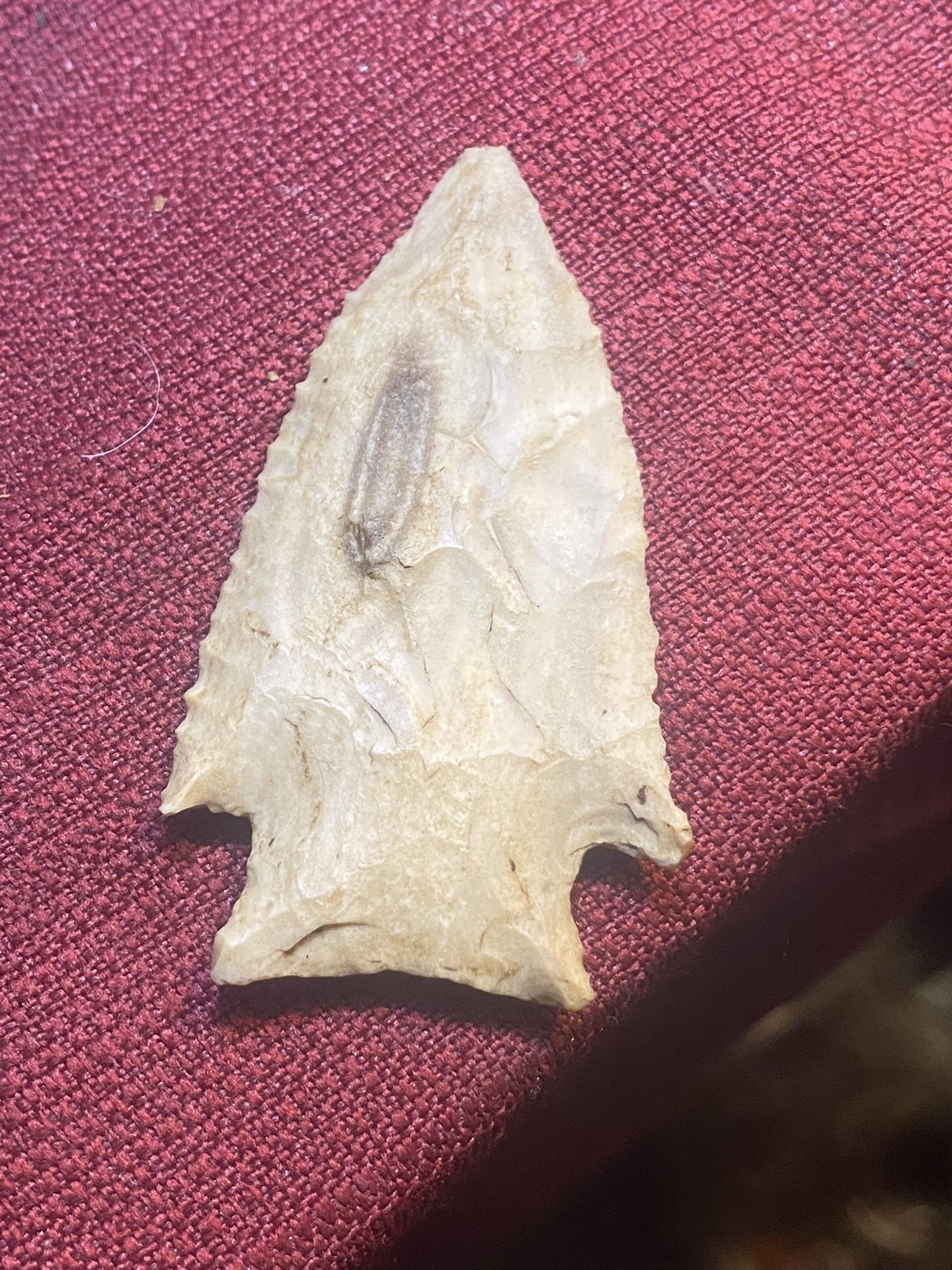 A nice lost lake found by me on the Tennessee river